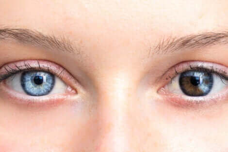 Een blauw en een bruin oog