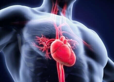 Cardiovasculaire problemen