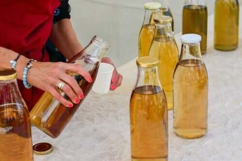 Kenmerken en risico's van kombucha-thee