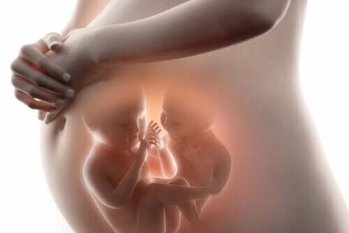 Alles wat je over foetus in foetu moet weten