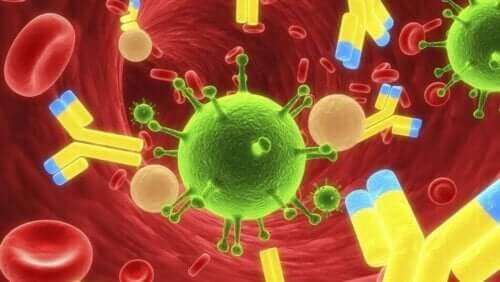 Een grafische weergave van het mazelenvirus in de bloedbaan
