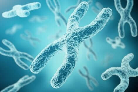 Zwevende X-chromosomen