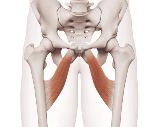 Wat is een heupadductor tendinopathie
