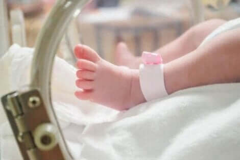 De voeten van een baby in de couveuse