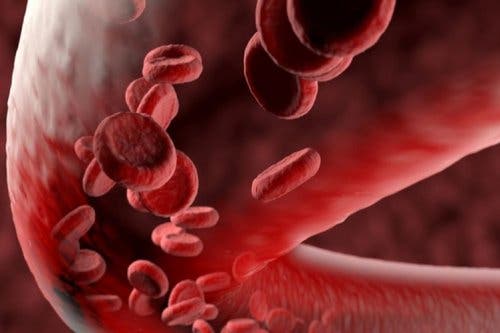 Cardiovasculaire regulatie