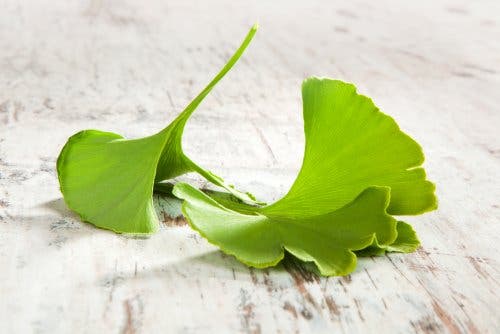 Ginkgo biloba als natuurlijke remedie