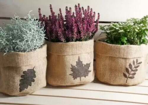 Plantenbakken met planten