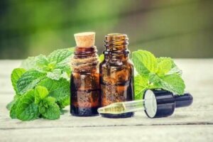 Behandeling van rozemarijn en brandnetel voor je haar