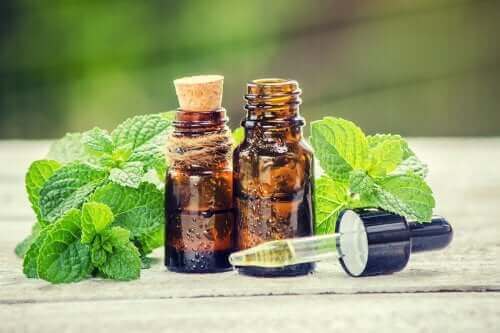 Behandeling van rozemarijn en brandnetel voor je haar