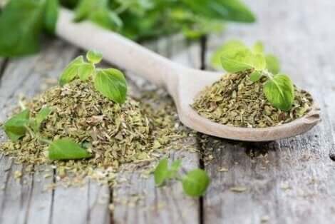 Verse en droge oregano