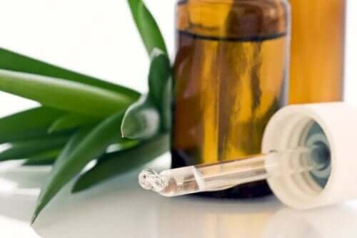 4 huismiddeltjes om korstjes rond je neus te verwijderen zoals aloëveragel