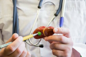 alles over galstenen en voeding