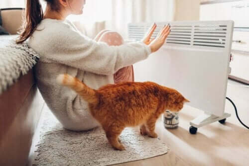 Vrouw en haar kat bij elektrische verwarming