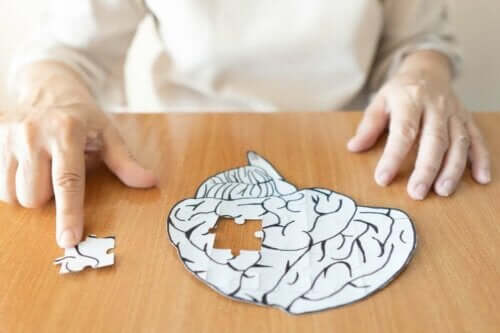Puzzel van het meselijk brein