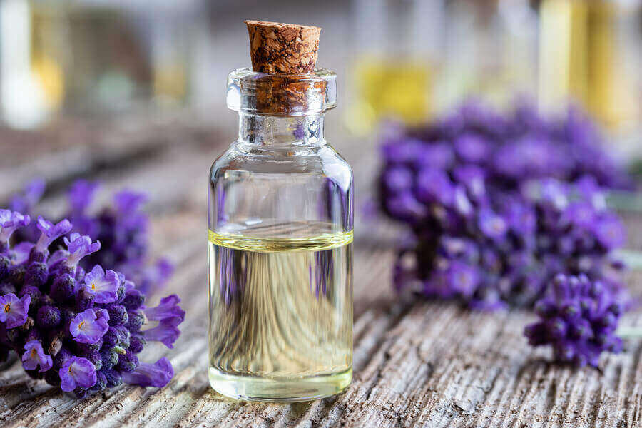 Lavendelolie in een flesje