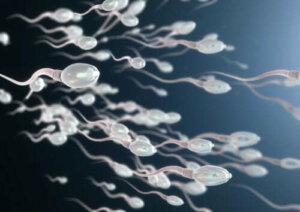 Leer meer over asthenospermie
