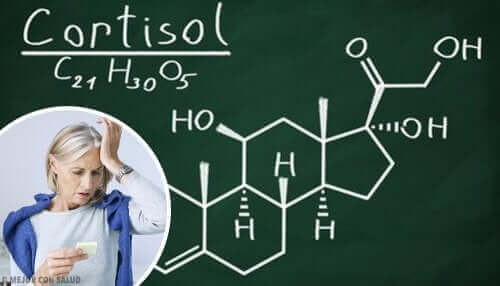 Stresshormoon cortisol