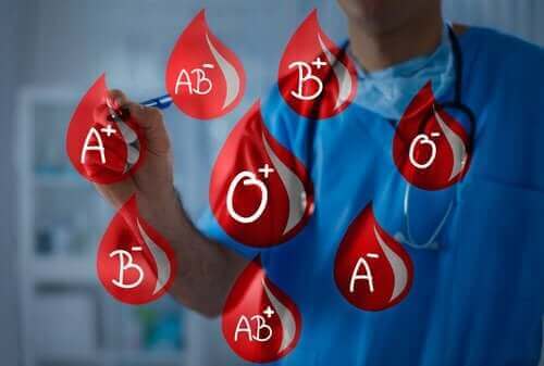 Bloedgroepen: doneer en ontvang bloed