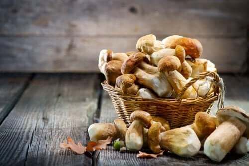 Champignons