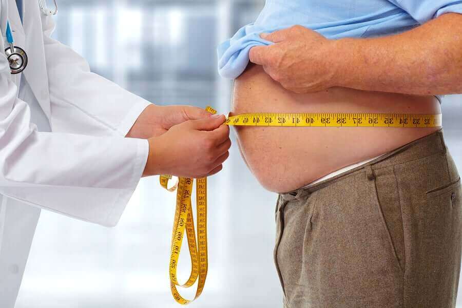 Verband tussen glucose en fructose en obesitas
