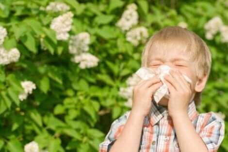 Jongetje heeft last van pollenallergieën