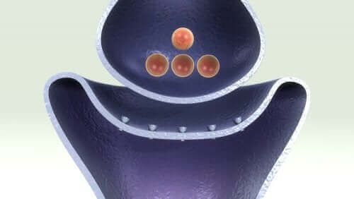 Er zijn verschillende onderliggende oorzaken van deze aandoening