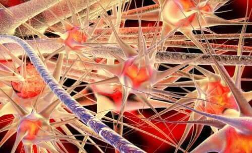 Hoe werkt het medicijn in het lichaam