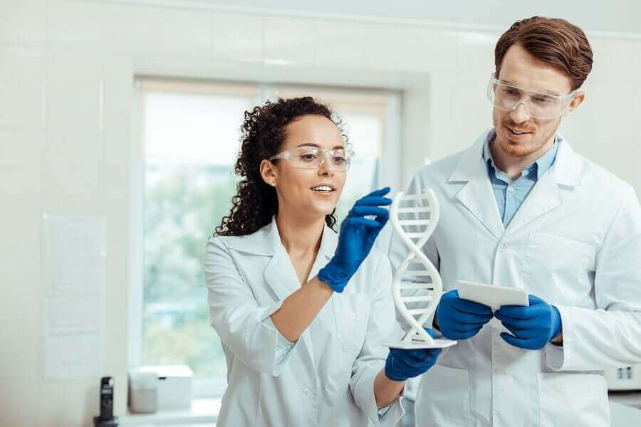 Artsen bespreken de mogelijkheden van dna