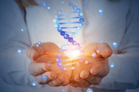 Alles over het menselijk genoomproject