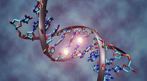 Een digitale afbeelding van een DNA-streng