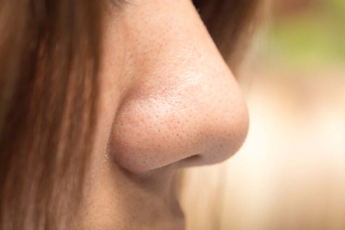Close up van een neus