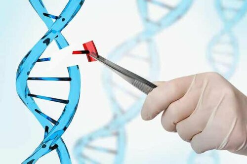 Een technicus die een stukje DNA vervangt op een plastic model