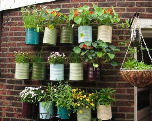 Hangplanten