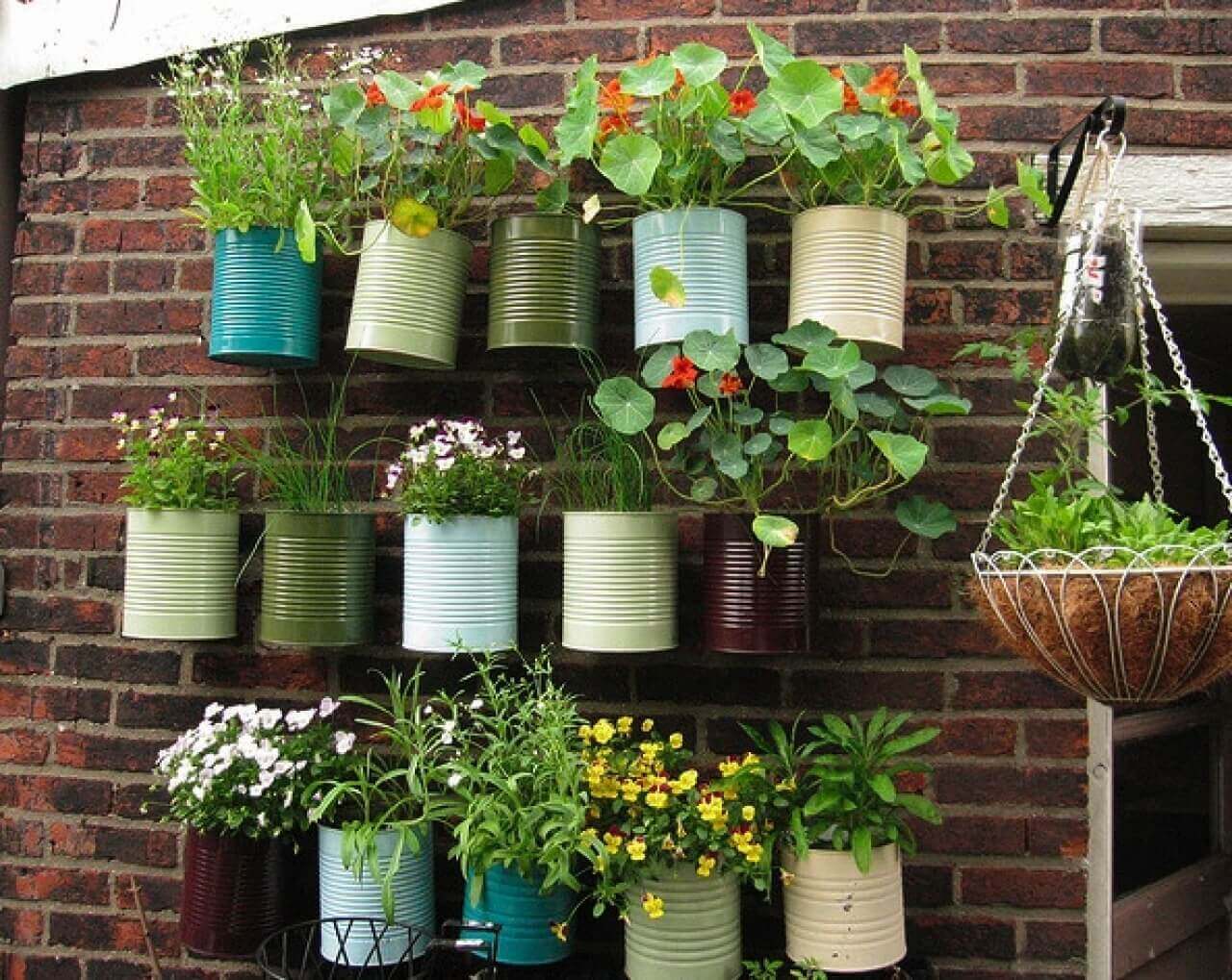 Planten hangen aan een muur