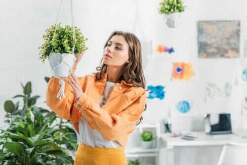 Hoe hangende plantenbakken voor je planten te maken