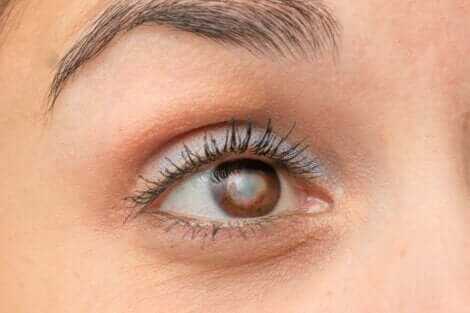 Een close-up van een bruin oog