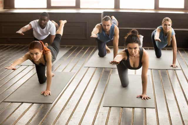Een Bird Dog als onderdeel van je routine