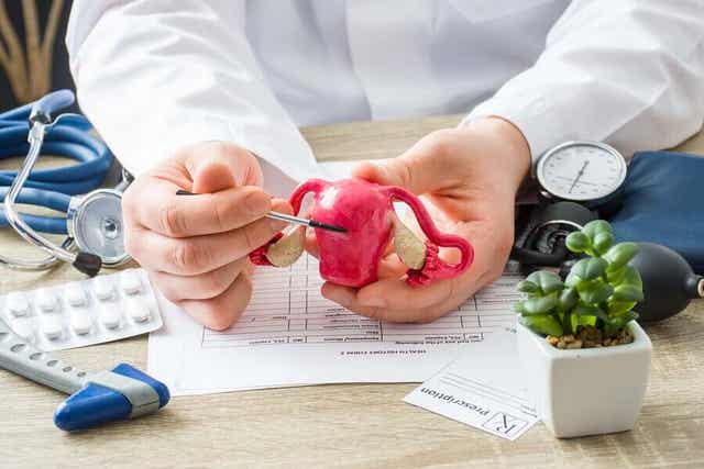 Arts met een plastic baarmoeder