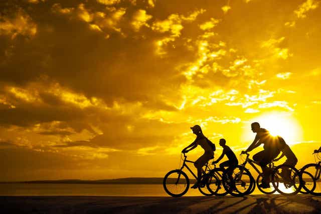 Mensen die samen fietsen