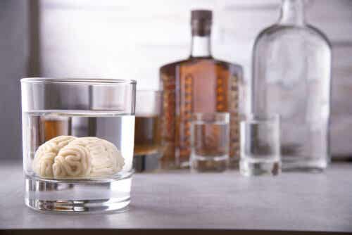 Hersenen en alcohol