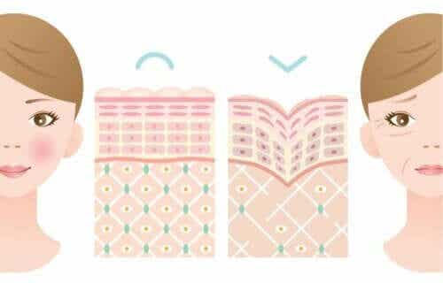 Onvoldoende collageen veroorzaakt rimpels