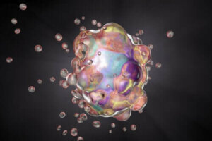 De verschillen tussen apoptose en necrose