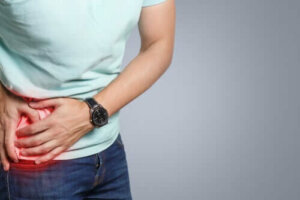 Kenmerken en functie van de blindedarm