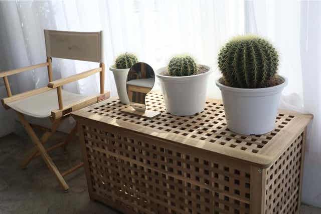 Planten zijn ook rustgevend