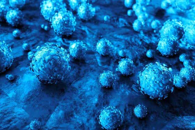 Voetwratten bij kinderen worden veroorzaakt door het humaan papillomavirus