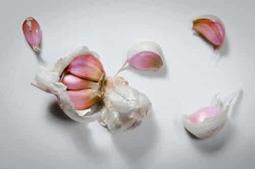 Teentjes knoflook
