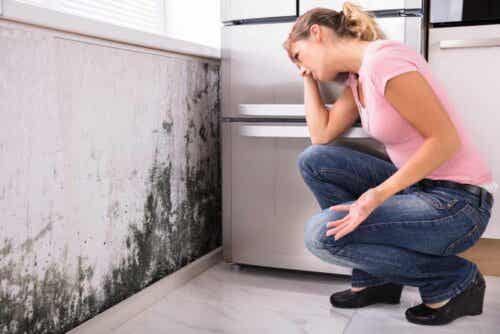 Vrouw bekijkt schimmel op de muur