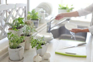 5 voordelen van planten in de keuken