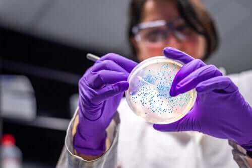 Hoe kun je bacteriële resistentie bestrijden?