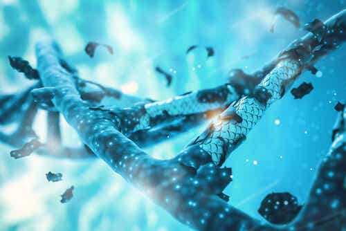 Wat is het belang van genen